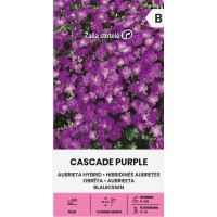 Аубриета Лилава Каскадна Aubrieta hybrida