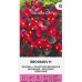 Бегония Брумов F1 Begonia semperflorens hort. – Саксийни и градински цветя