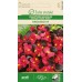 Бегония Брумов F1 / Begonia semperflorens hort.