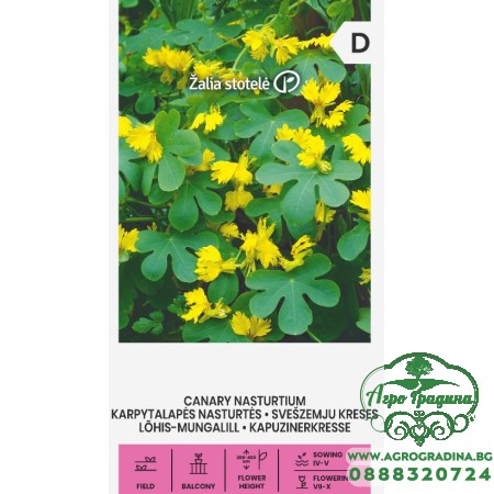 Настурция Канарче Tropaeolum peregrinum