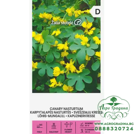 Настурция Канарче Tropaeolum peregrinum