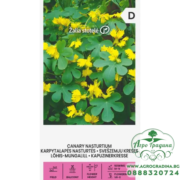 Настурция Канарче Tropaeolum peregrinum Настурция Канарче Tropaeolum peregrinum