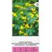 Настурция Канарче Tropaeolum peregrinum – Саксийни и градински цветя