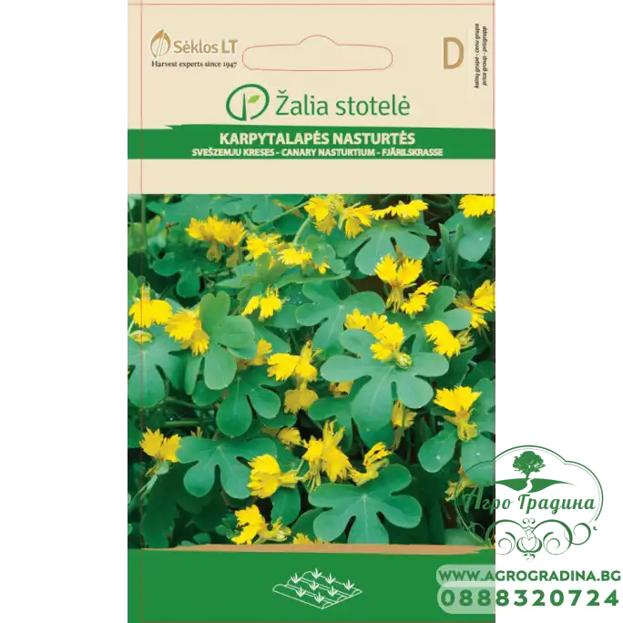 Настурция Канарче Tropaeolum peregrinum