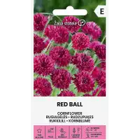 Метличина Червена Топчеста Centaurea cyanus