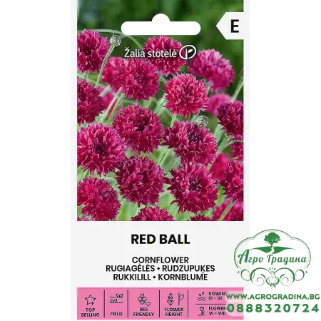 Метличина Червена Топчеста Centaurea cyanus