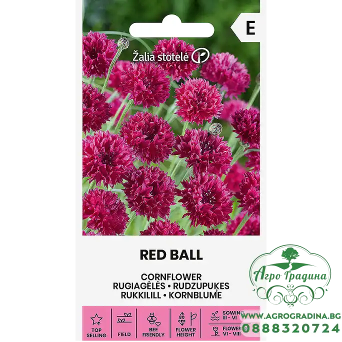 Метличина Червена Топчеста Centaurea cyanus