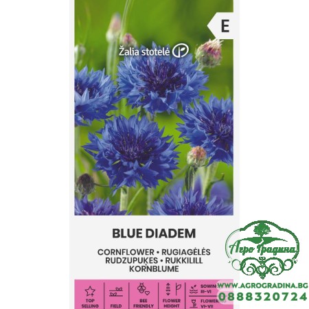 Метличина Синя / Centaurea cyanus