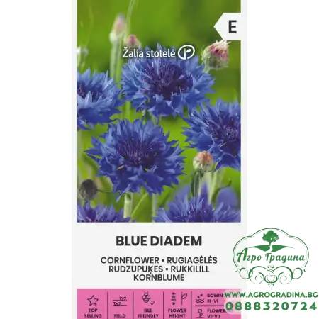 Метличина Синя Centaurea cyanus