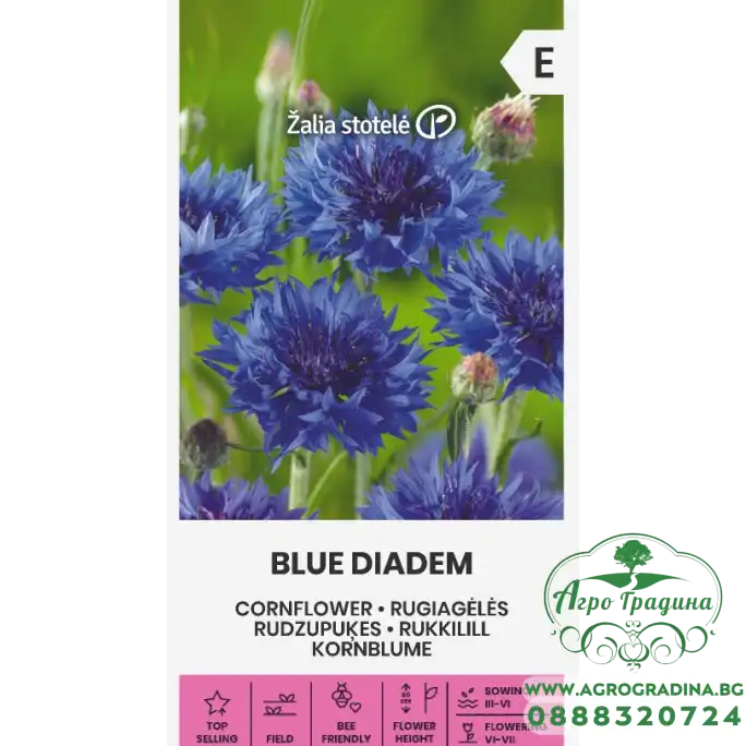 Метличина Синя Centaurea cyanus