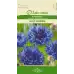 Метличина Синя Centaurea cyanus