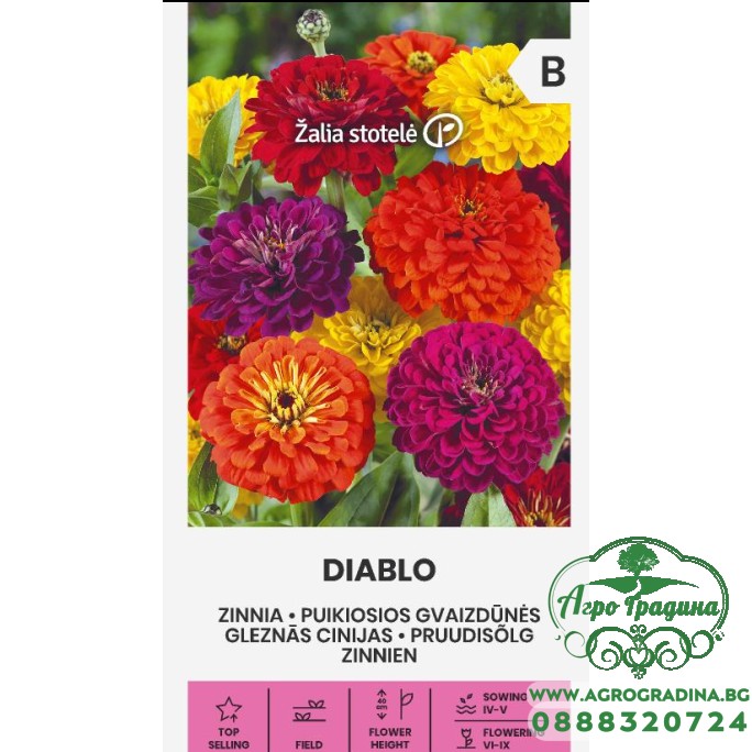 Циния Двойна Микс Диабло / Zinnia elegans dahlienflora