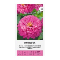 Циния Розова Luminosa Zinnia elegans dahlienflora