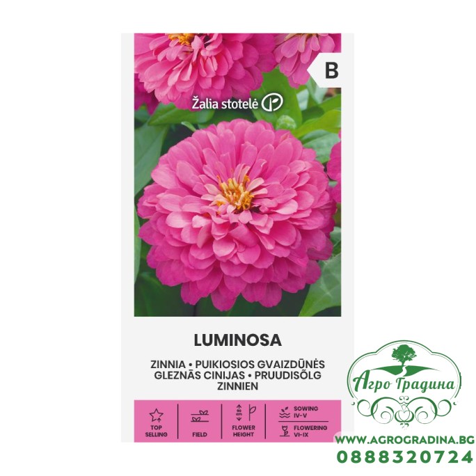 Циния Розова Luminosa Zinnia elegans dahlienflora