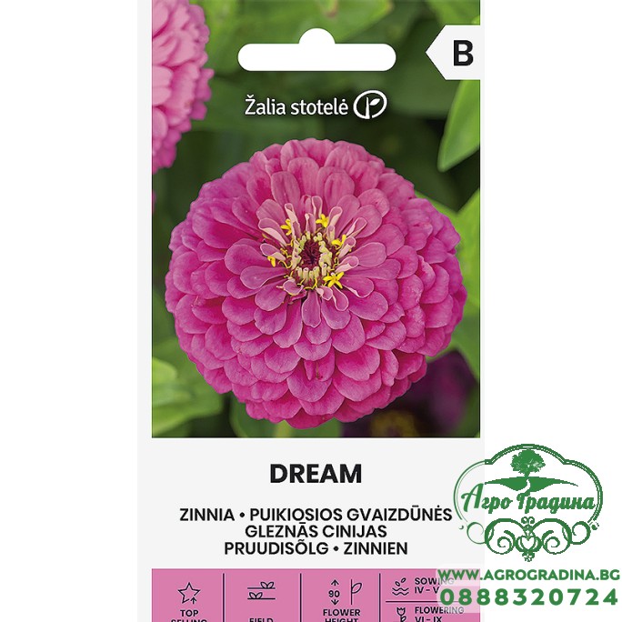Циния Лилава Dream Zinnia elegans dahlienflora