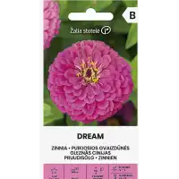 Циния Лилава Мечта Zinnia elegans dahlienflora