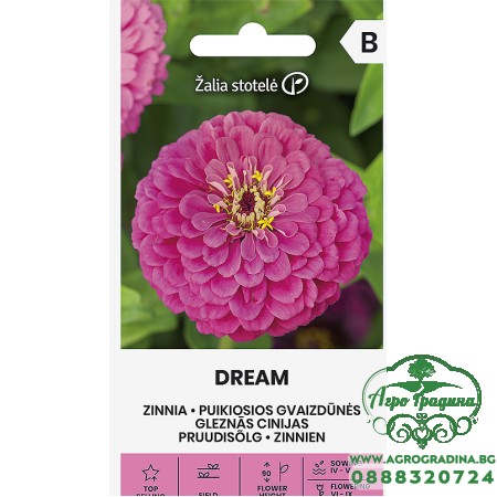 Циния Лилава Мечта / Zinnia elegans dahlienflora
