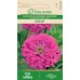 Циния Лилава Dream Zinnia elegans dahlienflora – Саксийни и градински цветя