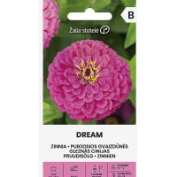 Циния Лилава Dream Zinnia elegans dahlienflora