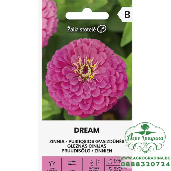 Циния Лилава Dream Zinnia elegans dahlienflora Циния Лилава Dream Zinnia elegans dahlienflora