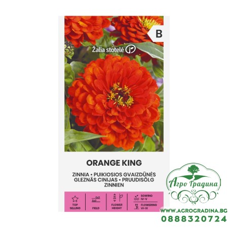 Циния оранжева Orange King Zinnia elegans dahlienflora