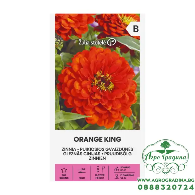 Циния оранжева Orange King Zinnia elegans dahlienflora