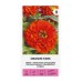 Циния оранжева Orange King Zinnia elegans dahlienflora