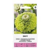 Циния резеда Envy Zinnia elegans dahlienflora