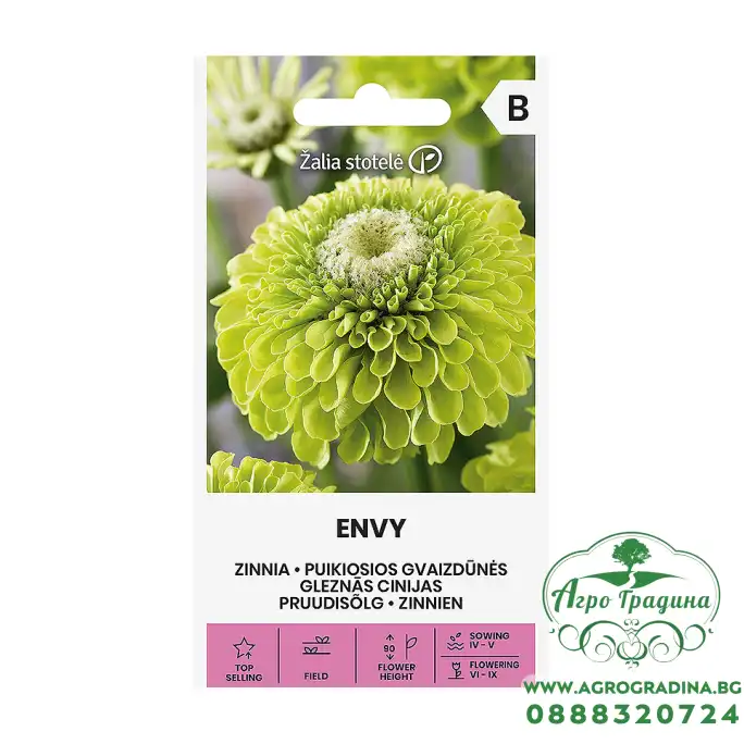 Циния резеда Envy Zinnia elegans dahlienflora