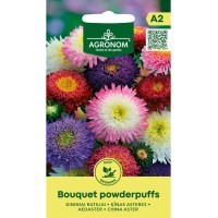 Астри двуцветни Микс Букет пудрички Callistephus chinensis L Ness Bouquet powderpuffs