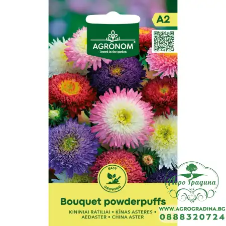 Астри двуцветни Микс Букет пудрички Callistephus chinensis L Ness Bouquet powderpuffs
