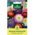 Астри двуцветни Микс Букет пудрички Callistephus chinensis L Ness Bouquet powderpuffs