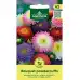 Астри двуцветни Микс Букет пудрички Callistephus chinensis L Ness Bouquet powderpuffs