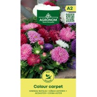 Астри Мини Микс Цветен Килим Callistephus chinensis L Ness Colour Carpet