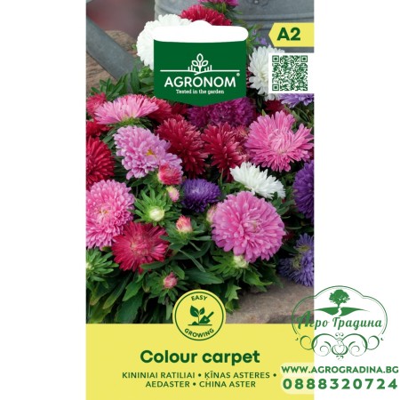 Астри Мини Микс Цветен Килим Callistephus chinensis L Ness Colour Carpet