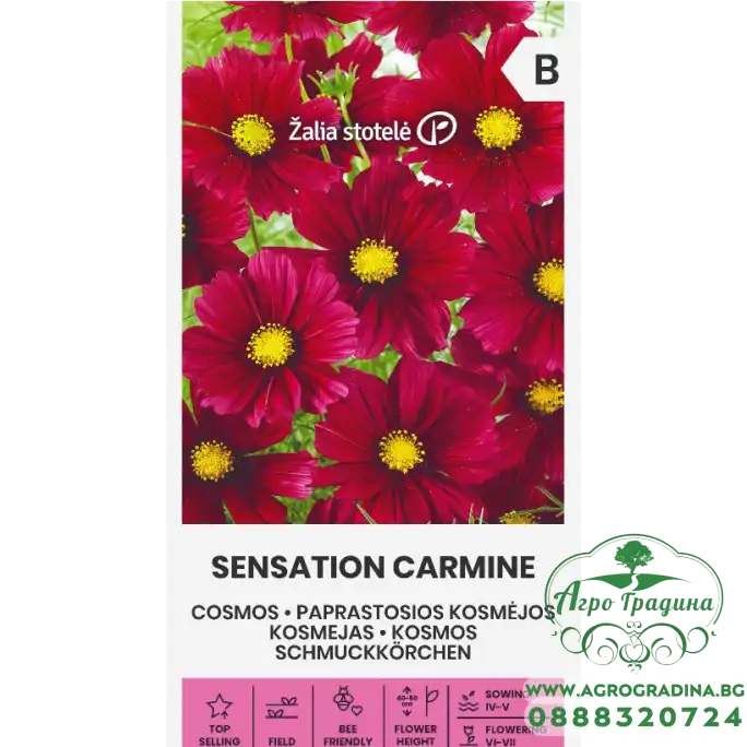 Цветя Космос Червени Sensation Carmine