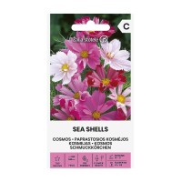 Космос Микс Морски миди Sea shells mix