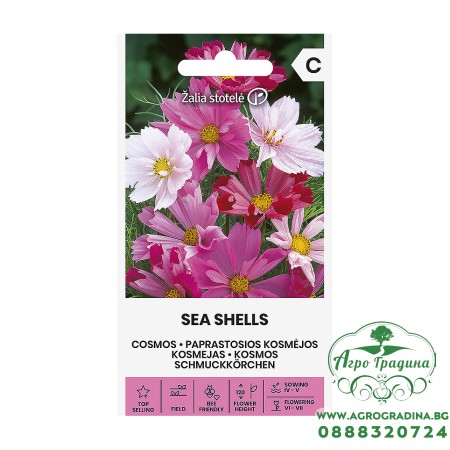 Космос Микс Морски миди Sea shells mix