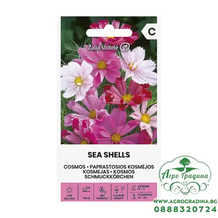 Космос Микс Морски миди Sea shells mix