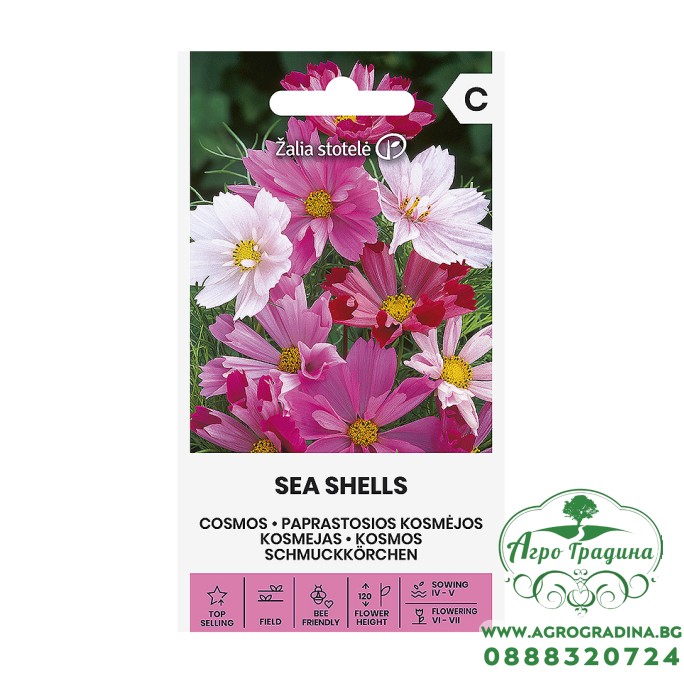Космос Микс Морски миди Sea shells mix