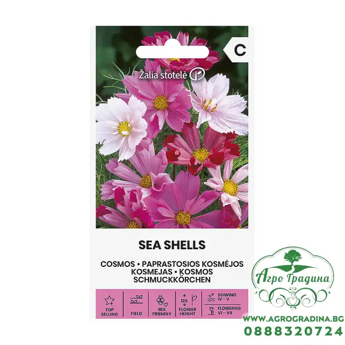 Космос Микс Морски миди Sea shells mix