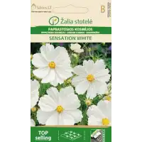 Космос Бял Cosmos Bipinnatus Cav.