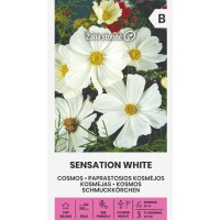Космос Бял Cosmos Sensation white