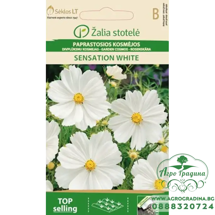 Космос Бял Cosmos Sensation white