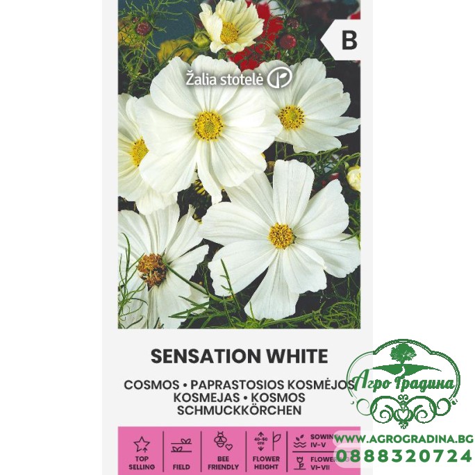 Космос Бял Cosmos Sensation white Космос Бял Cosmos Sensation white