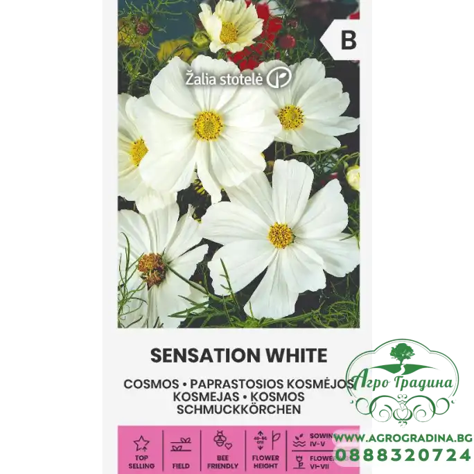 Космос Бял Cosmos Sensation white