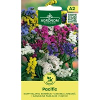 Лимониум Пасифик / Limonium sinuatum Pacific 