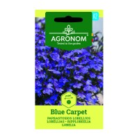 Лобелия Син килим /  Lobelia Blue carpet