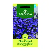 Лобелия Син килим Lobelia Blue carpet