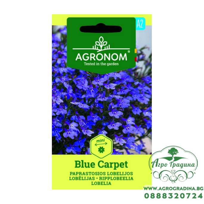 Лобелия Син килим /  Lobelia Blue carpet